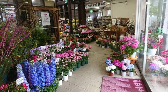「フラワーランド緑生園」　（三重県名張市）の花屋店舗写真3