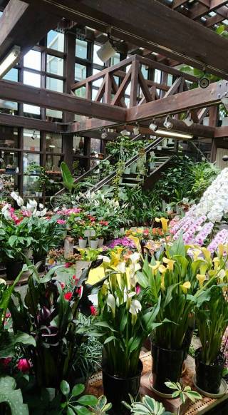 「フラワーランド緑生園」　（三重県名張市）の花屋店舗写真1